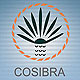 logotipo cosibra